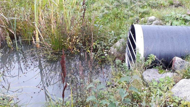 Hulevesiputki ojassa.