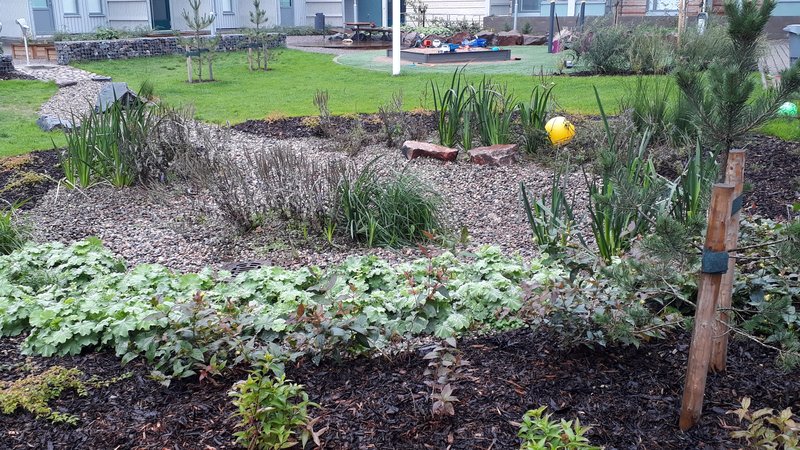 Pieni puutarha kerrostalojen sisäpihalla.