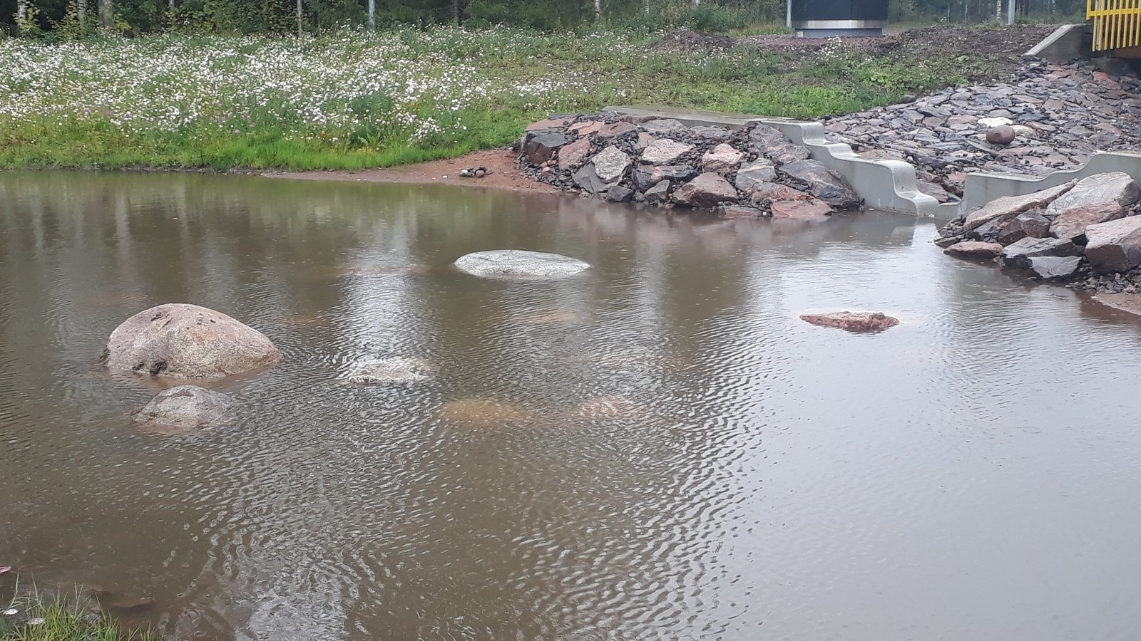 Vettä hulevesialtaassa.