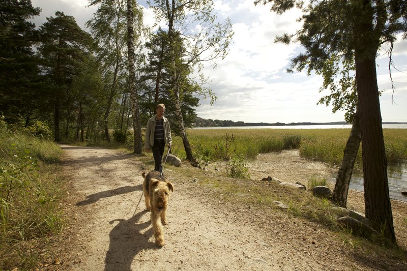 Ihminen ulkoiluttaa koiraa rantapolulla kesäiltana.