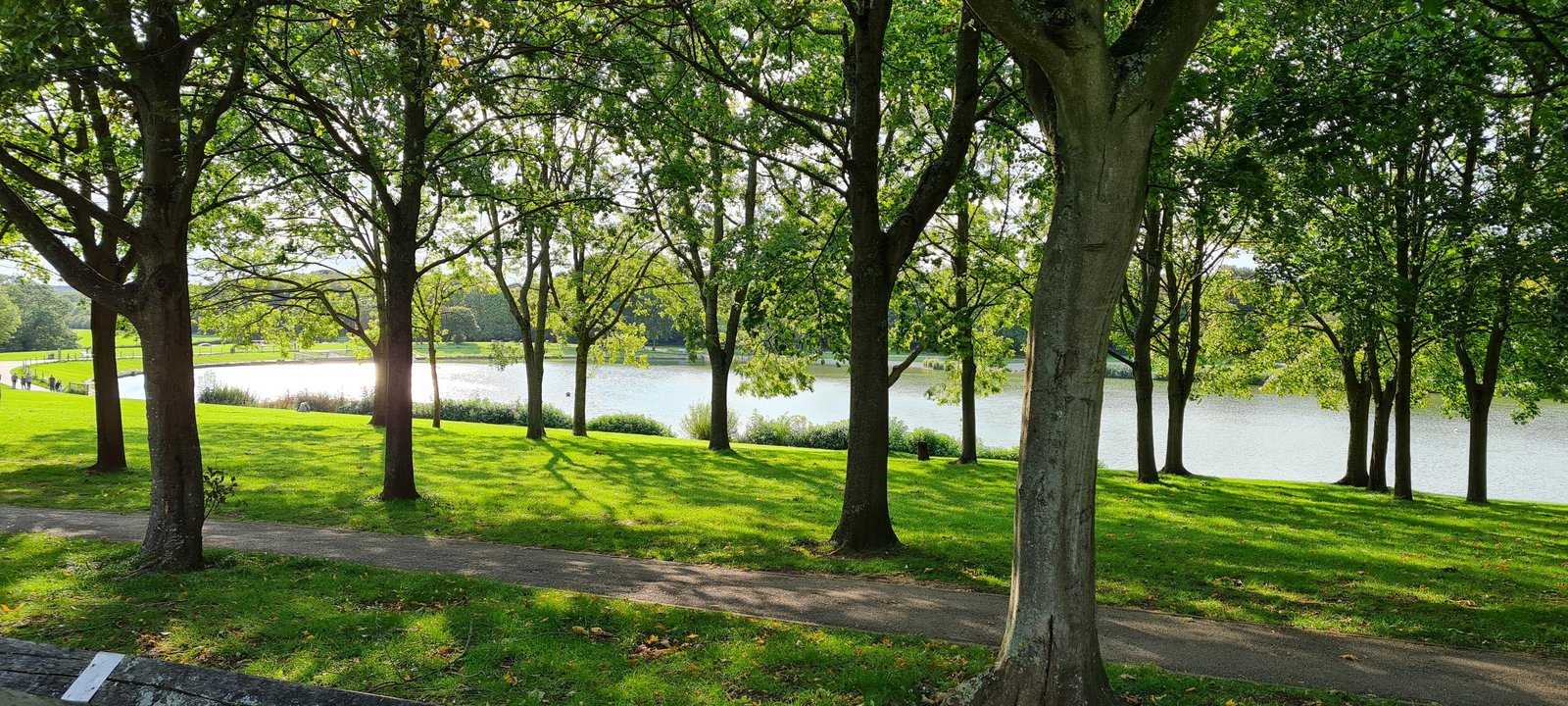 Photo by Mike Williams