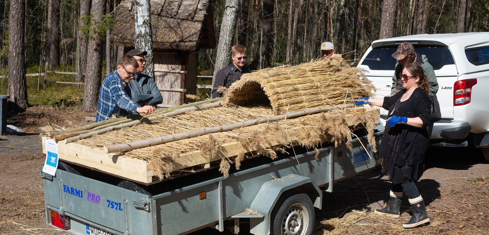 Järviruo'osta valmistettua lintujen pesimälauttaa kiinnitetään auton peräkärryyn kuljetusta varten.