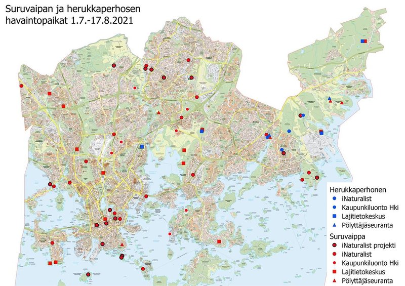 Suruvaipan ja herukkaperhosen havaintopaikat 1.7.-17.8.2021