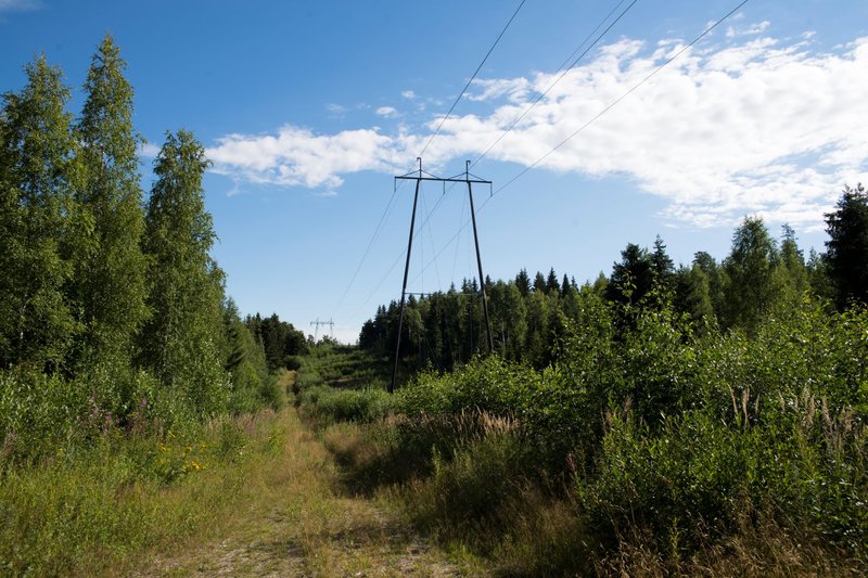 Metsiköiden välissä avoimella alueella kulkee sähkölinja, jonka ympäristöstä on huolehdittu hyvin, jotta puut eivät pääse kaatumaan johtojen päälle. Kesäisessä maisemassa erottuvat sininen taivas ja vehreät lehtipuut ja havupuut. Kuva: Anu Mikkola 2022.