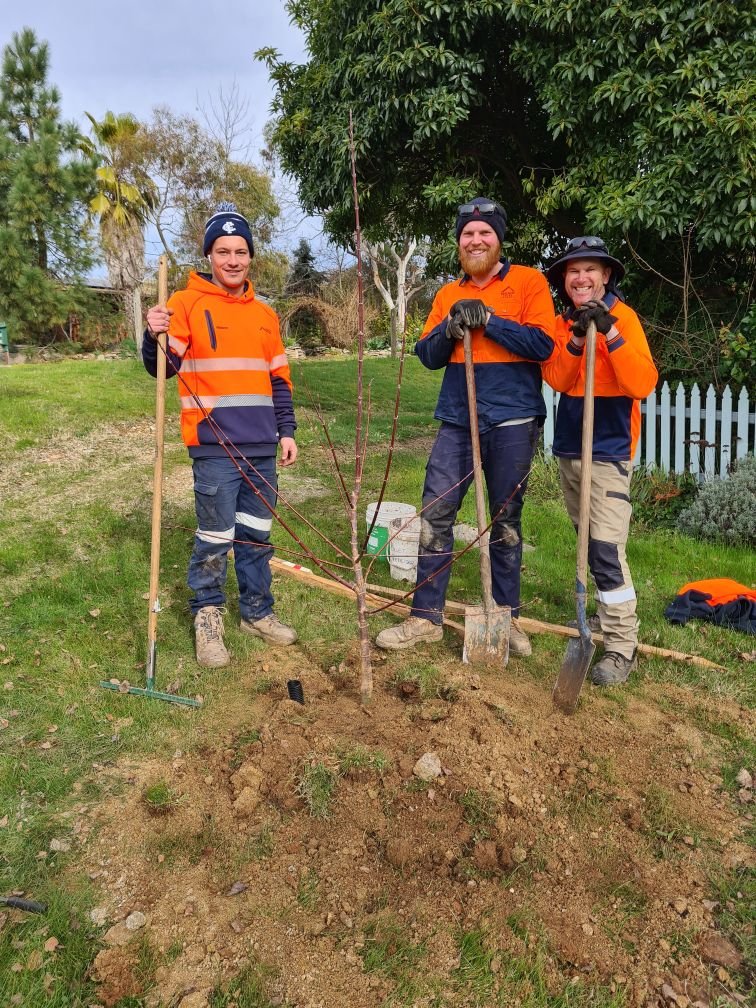 Naturally Cooler Indigo_Planting_July 2023_2