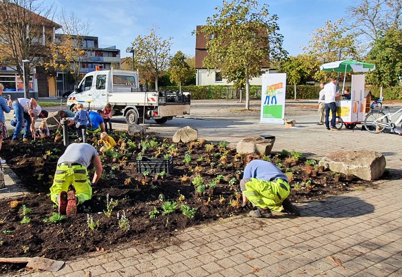 Ee1_Bepflanzung_Eglosheim-West