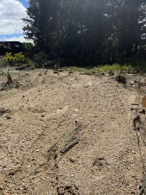 Beechworth Bush Botanical Gardens post flood (Nov 2022)