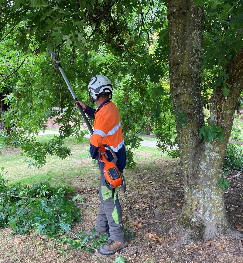 Tom Hood using the battery powered Husqvarna 530iPT5 pole saw_30 March 2023