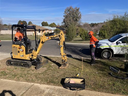 Tree Planting_July 2024