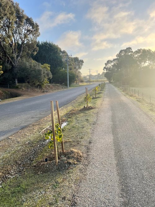 High St Beechworth_3Sept2024