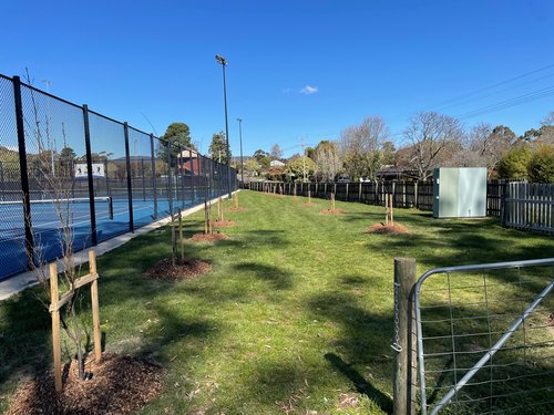 Beechworth tennis club_18 Sept 2024_1