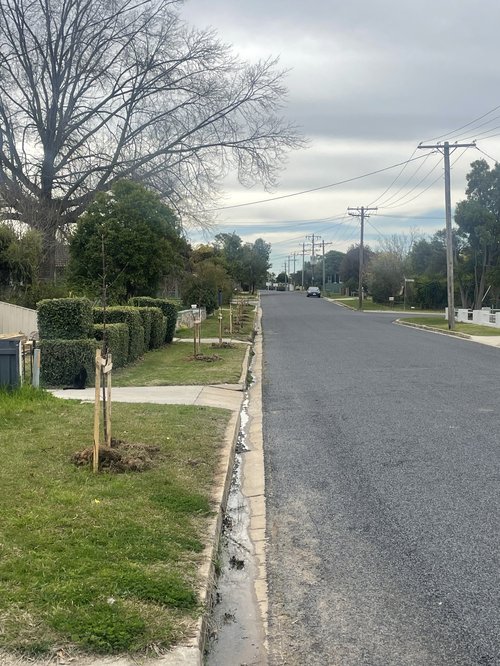 William St Rutherglen_1