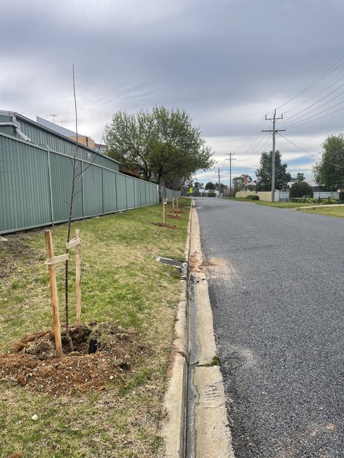 William St_Rutherglen_3