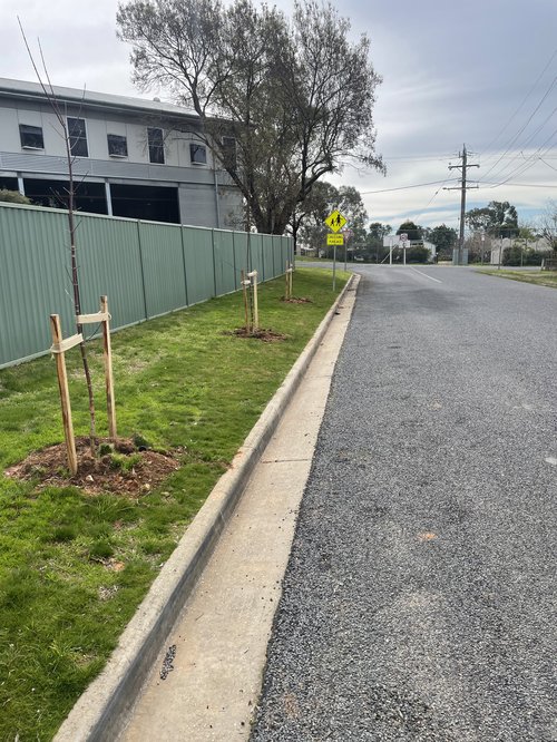 William St_Rutherglen_4