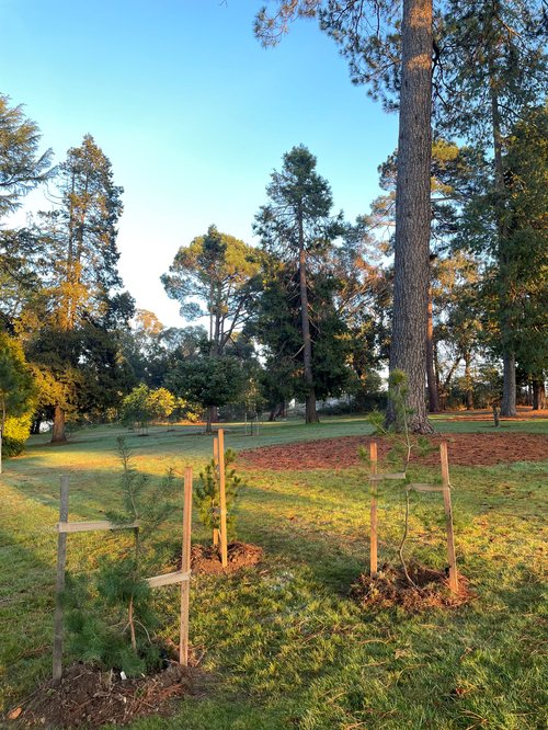 Queen Vic Park_Beechworth_Aug 2023