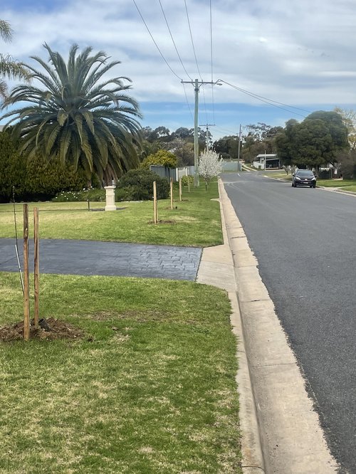 Soles St Rutherglen_2