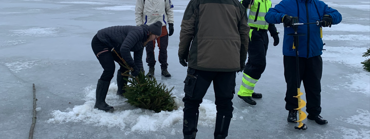 Viisi ihmistä seisoo sumuisella järven jäällä avannon ääressä. Yksi työntää joulukuusta latva edellä avannosta veteen. yhdellä kädessä kaira.
