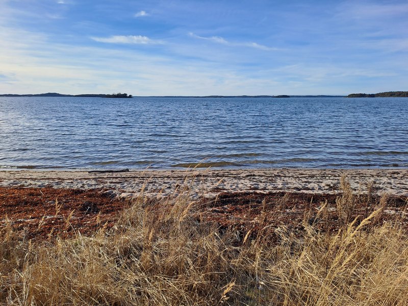 Havstrand